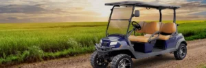 Read more about the article Explore the Unique Uses for 4-Passenger Golf Carts