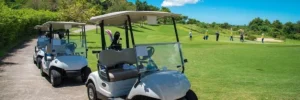 Read more about the article What Should You Know About Warranties When Buying a Brand-New Golf Cart?