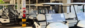 Read more about the article Buying the Perfect Lithium Battery Golf Cart
