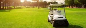 Read more about the article Uncovering the Various Uses of Electric Golf Carts