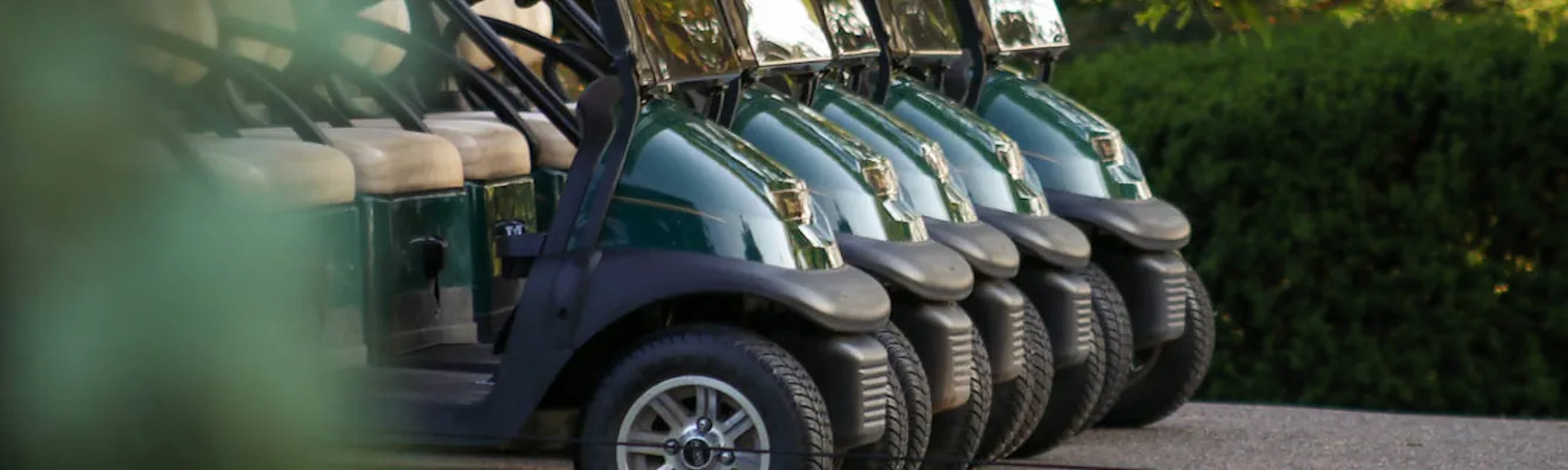 Golf Cart Dealer in Birmingham, AL Photo