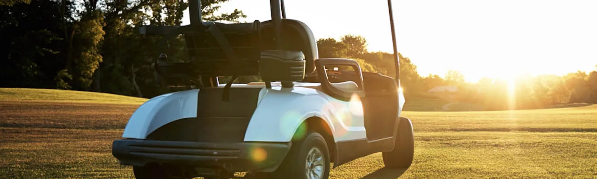 Golf Carts Near Me in Birmingham, AL Photo