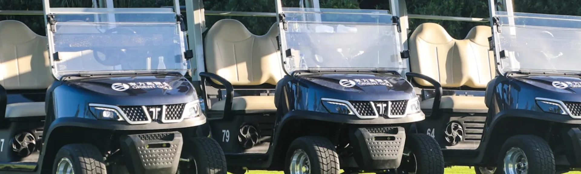 Golf Carts for Sale in Birmingham, AL Photo